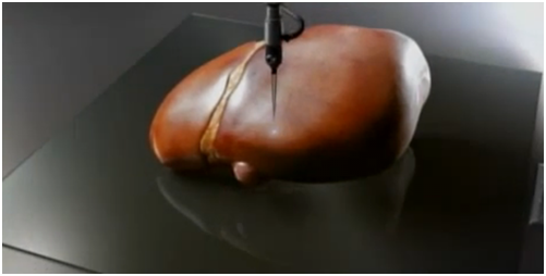 BioPrint-Liver.png