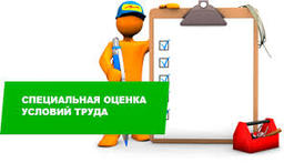 11824136.jpg